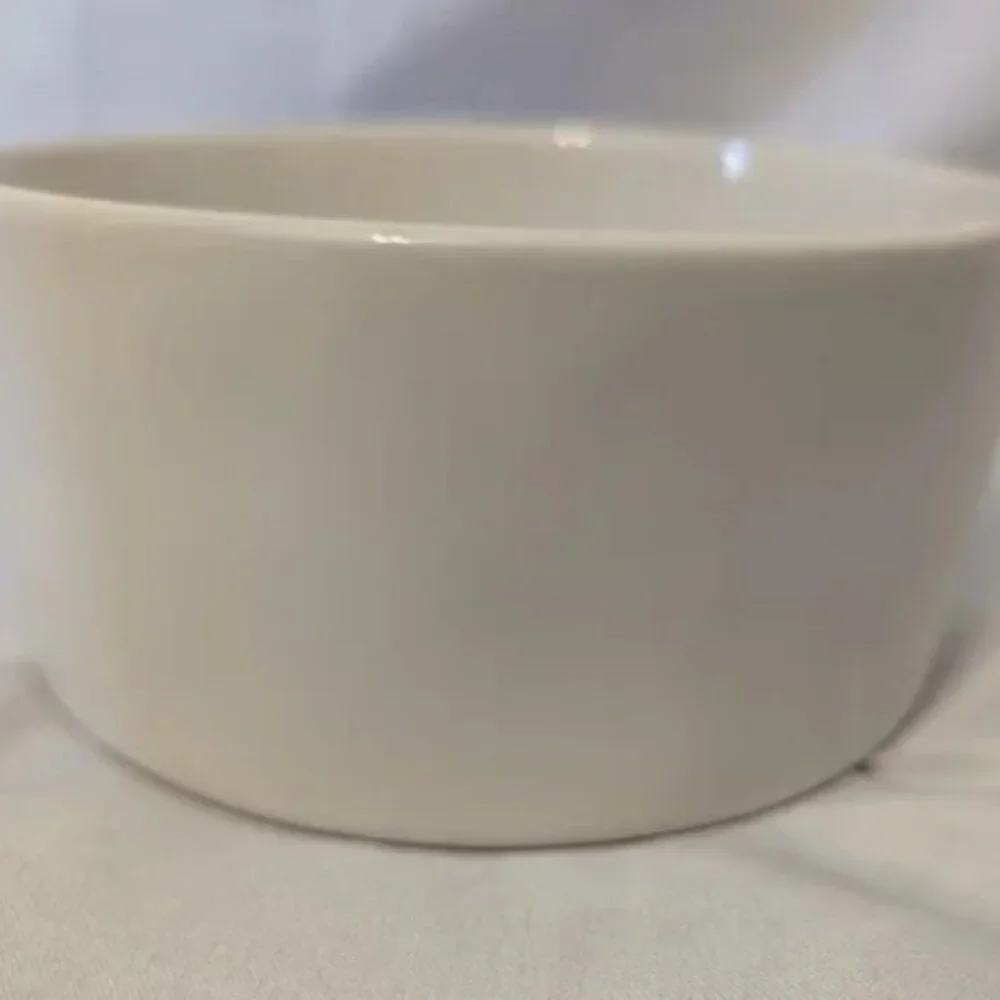 Brand New Rae Dunn 6" Drink Pet Bowl - Picture 3 of 4